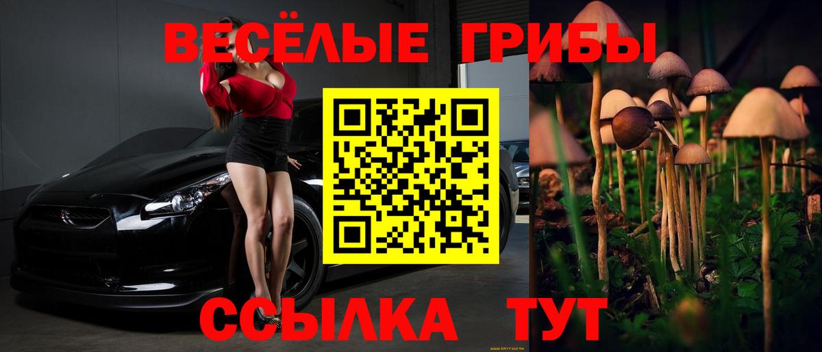 Псилоцибиновые грибы GOLDEN TEACHER Москва