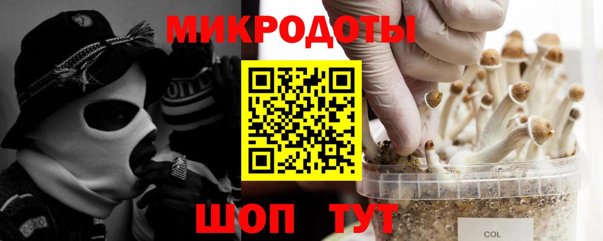 Москва  хочу   Вход с VPN  Псилоцибиновые грибы мухоморы 